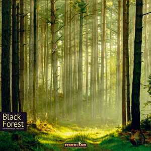 Black Forest cover: sunlight filters through between the tall trees of the forest